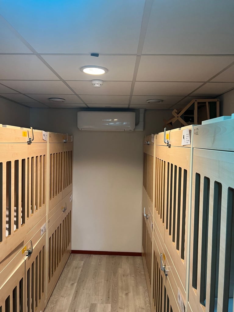 Interior of a commercial kennel room with wooden dog crates on both sides and a ceiling-mounted light fixture